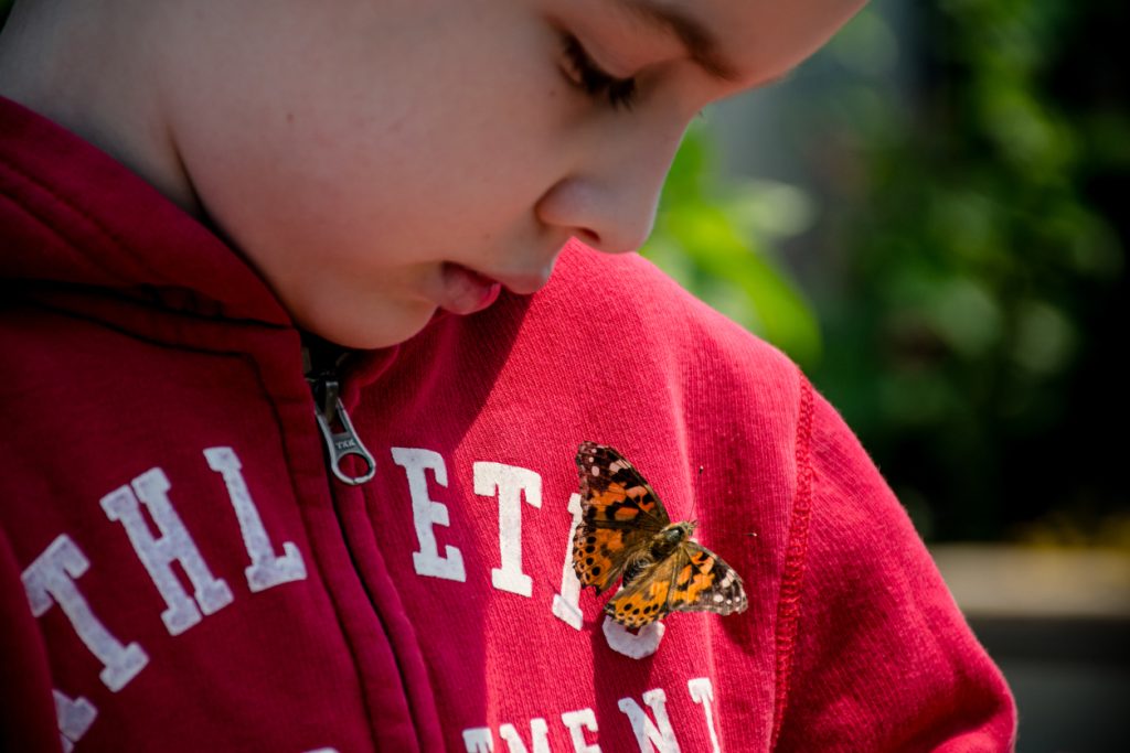 La biodiversité expliquée aux enfants