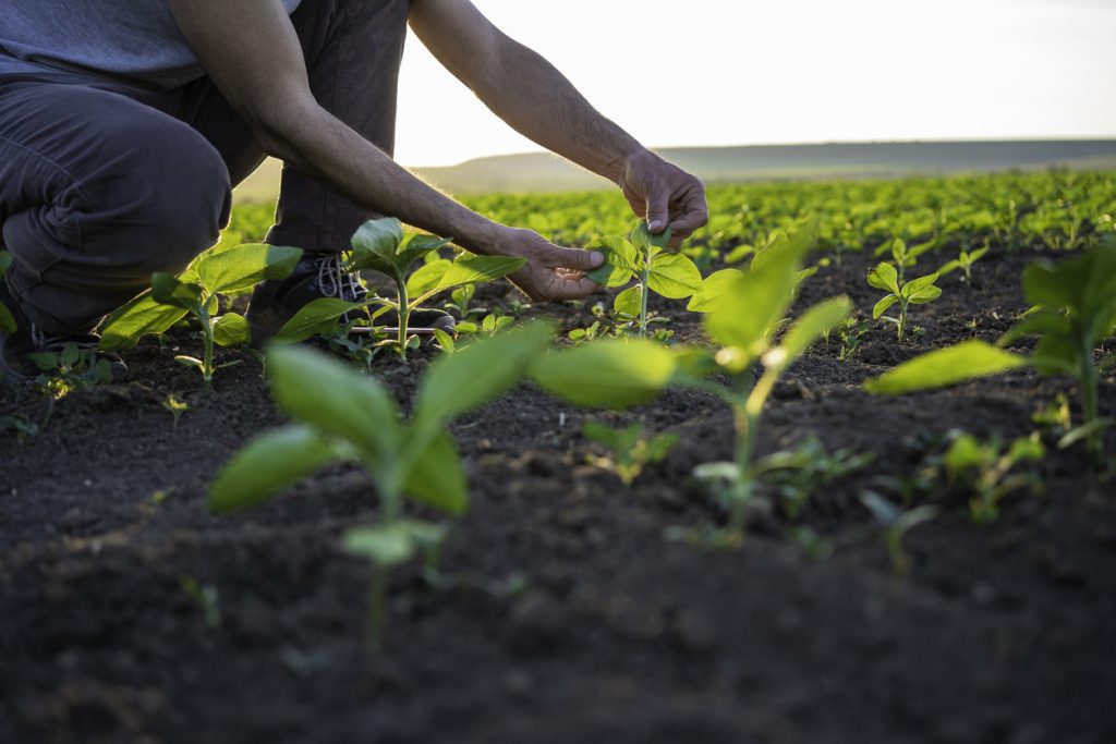 Agriculture et biodiversité : comment en discuter avec vos élèves ?